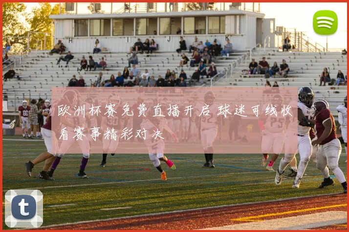 欧洲杯赛免费直播开启 球迷可线收看赛事精彩对决