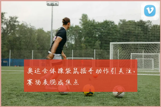 奥运会体操袋鼠摇手动作引关注，赛场表现成焦点