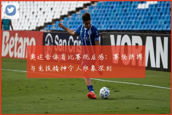 奥运会体育比赛观后感：赛场拼搏与竞技精神令人印象深刻