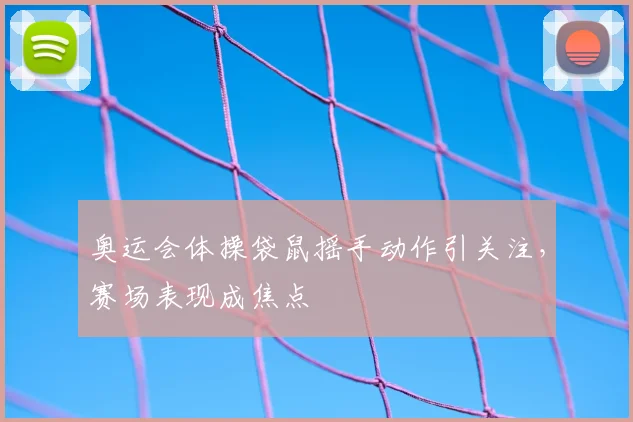 奥运会体操袋鼠摇手动作引关注,赛场表现成焦点