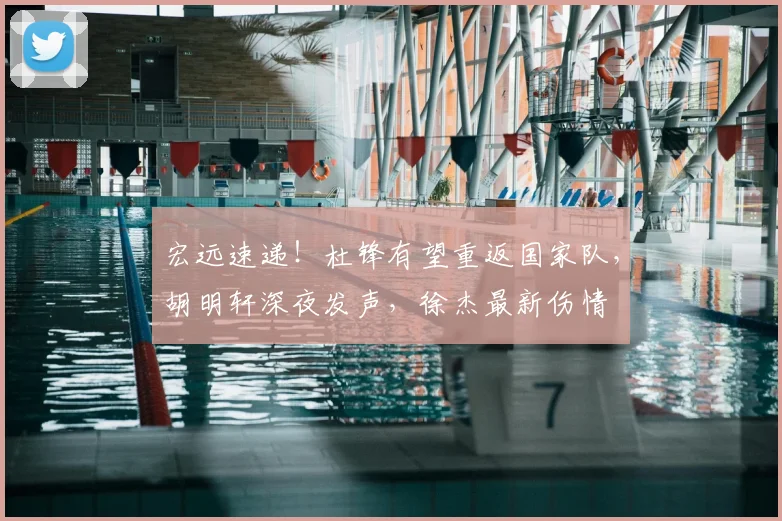 宏远速递!杜锋有望重返国家队,胡明轩深夜发声,徐杰最新伤情
