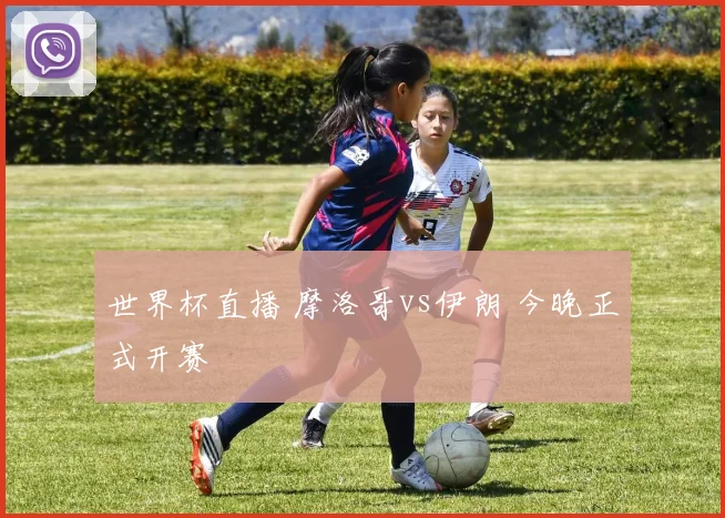 世界杯直播 摩洛哥vs伊朗 今晚正式开赛