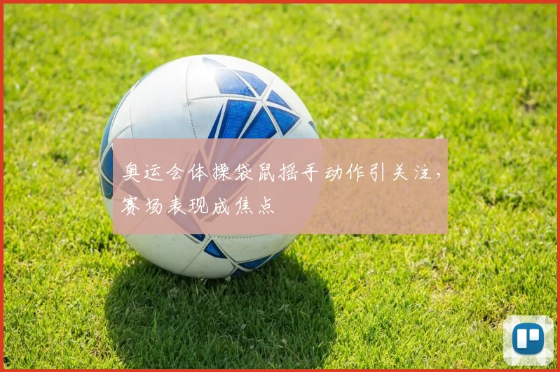 奥运会体操袋鼠摇手动作引关注,赛场表现成焦点