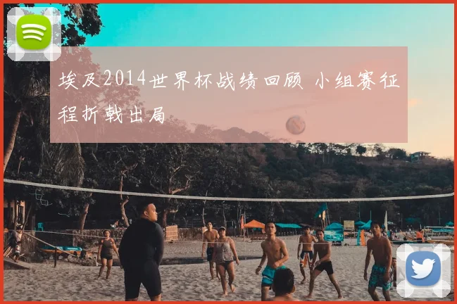 埃及2014世界杯战绩回顾 小组赛征程折戟出局