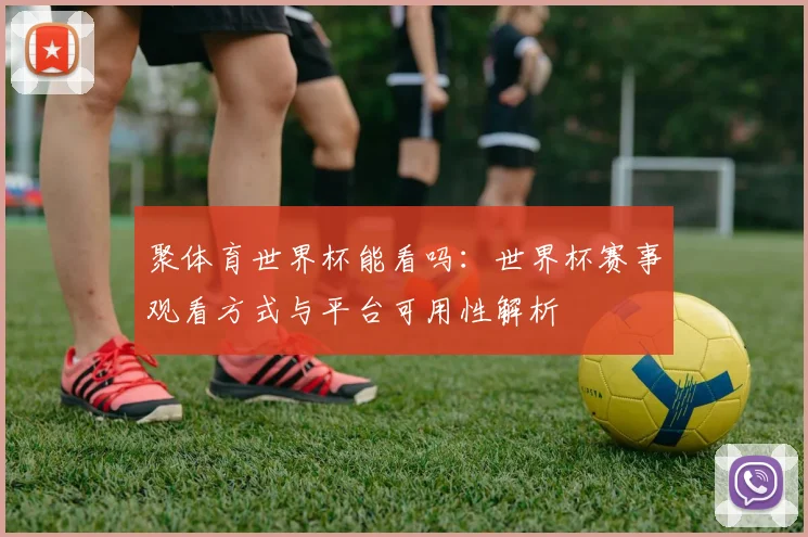 聚体育世界杯能看吗：世界杯赛事观看方式与平台可用性解析