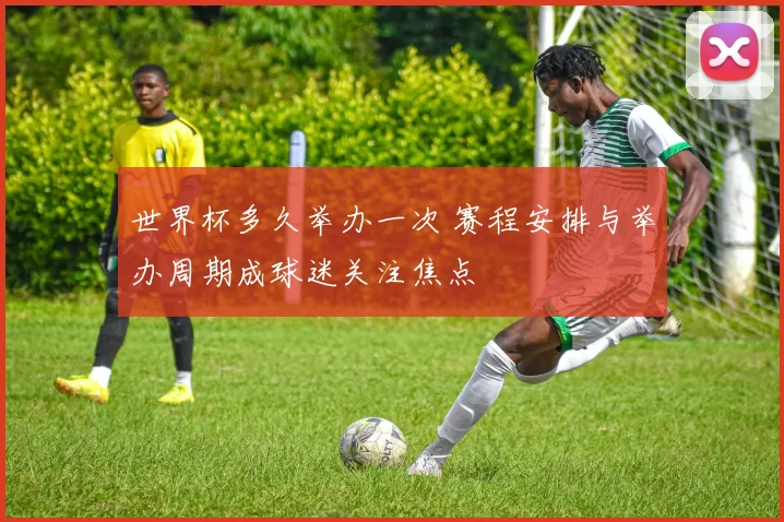 世界杯多久举办一次 赛程安排与举办周期成球迷关注焦点