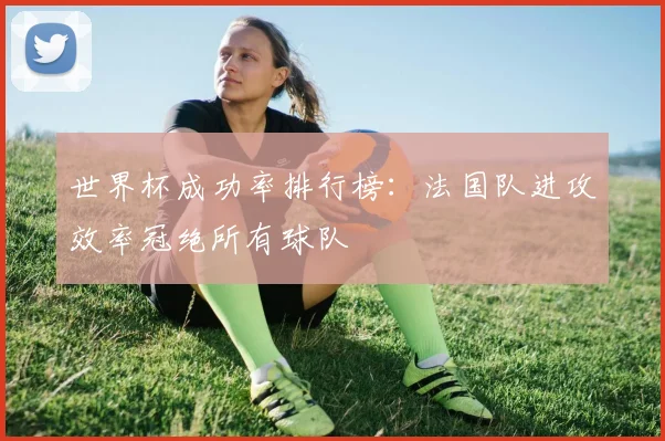 世界杯成功率排行榜:法国队进攻效率冠绝所有球队