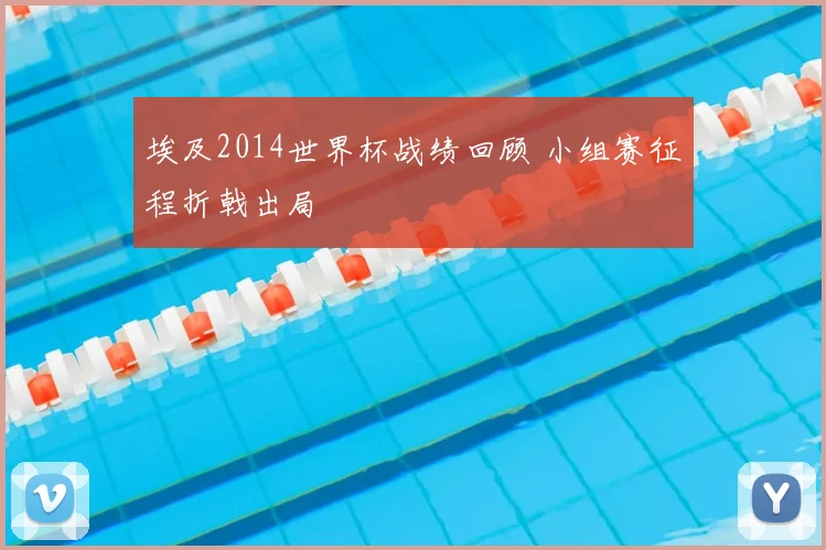 埃及2014世界杯战绩回顾 小组赛征程折戟出局