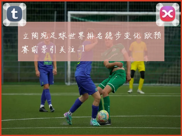 立陶宛足球世界排名稳步变化 欧预赛前景引关注_1