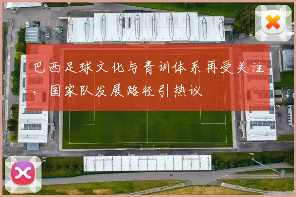 巴西足球文化与青训体系再受关注，国家队发展路径引热议