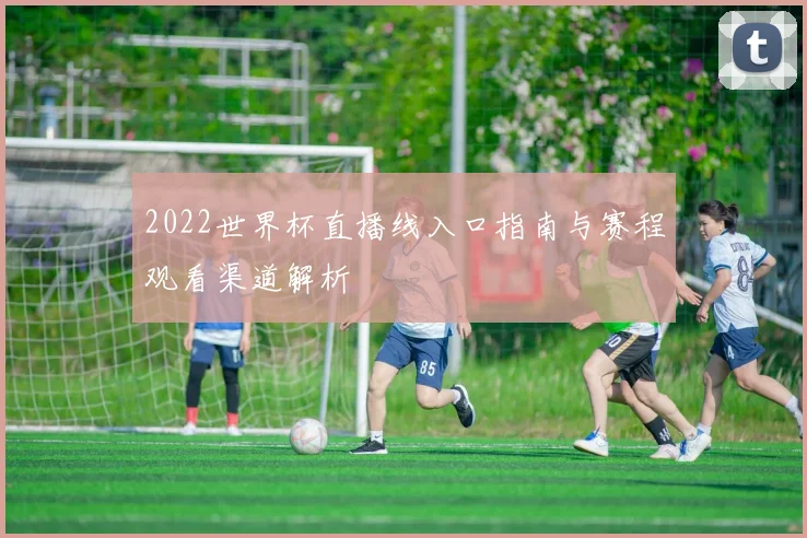 2022世界杯直播线入口指南与赛程观看渠道解析